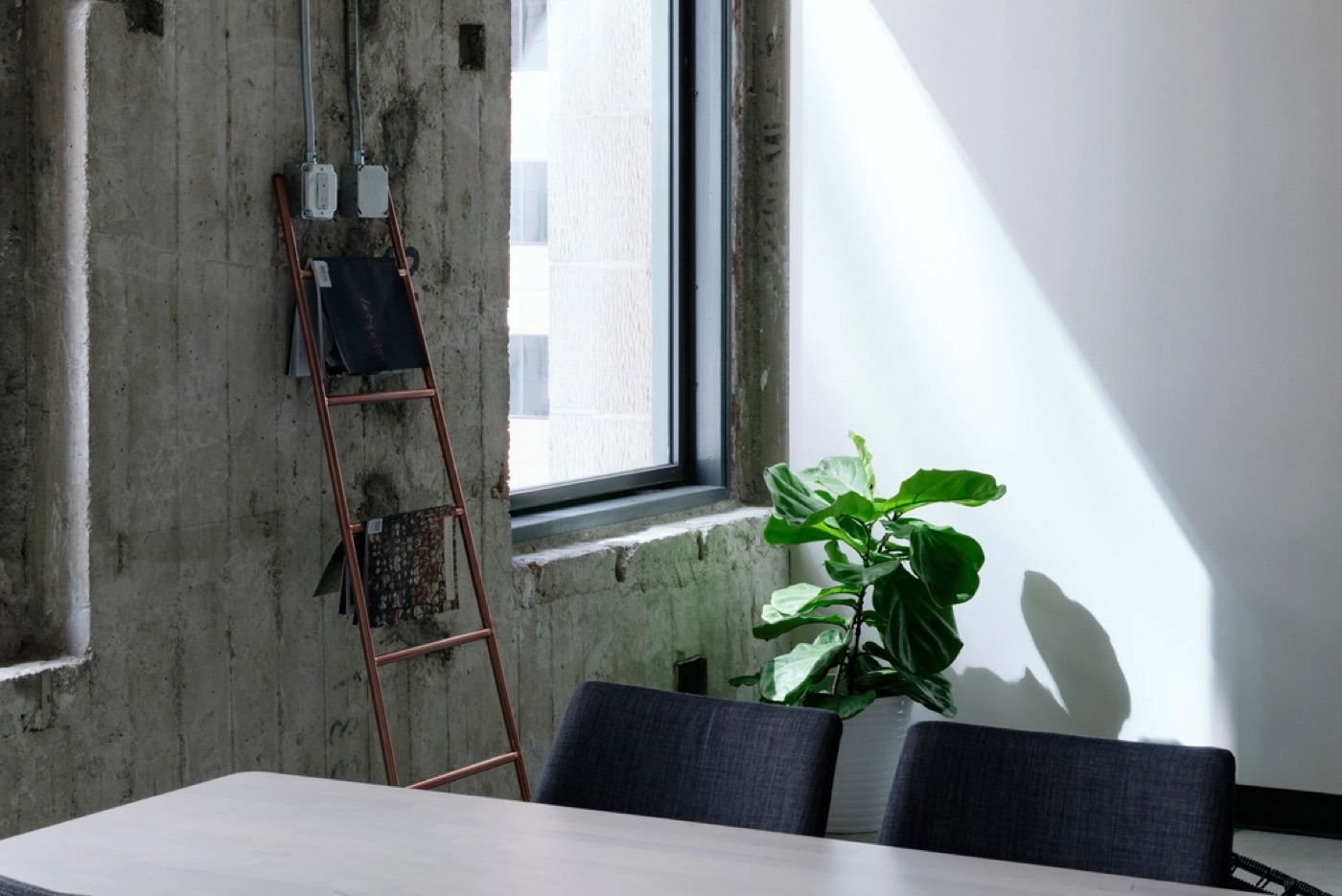 A leafy green plant in a ceramic pot stands in a bright corner beside a small wooden shelf.