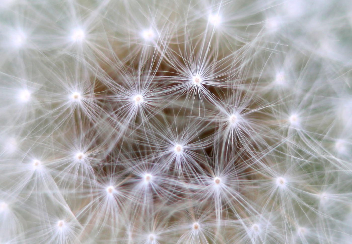 Glowing neurons connecting across a dark violet background.