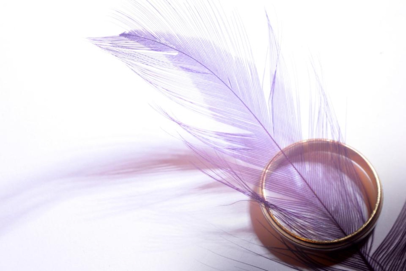Angel Numbers & Signs